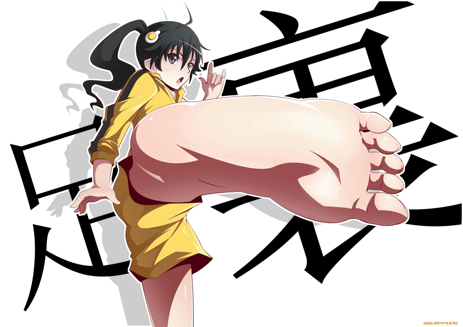 araragi, karen, , bakemonogatari, nisemonogatari, , , 